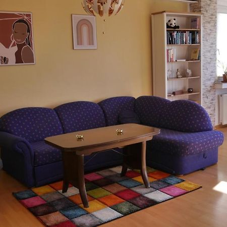 Grosszugige Wohnung Mit Herkulesblick Nahe Uni 카셀 외부 사진